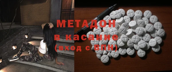 гашик Ельня