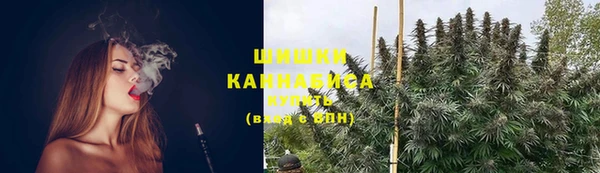 PSILOCYBIN Лихославль