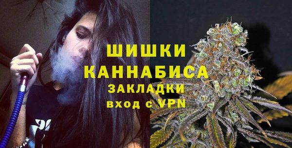 PSILOCYBIN Лихославль