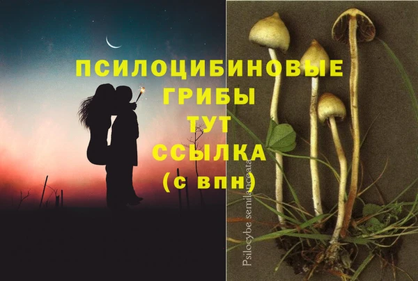 PSILOCYBIN Лихославль