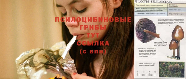 герыч Липки