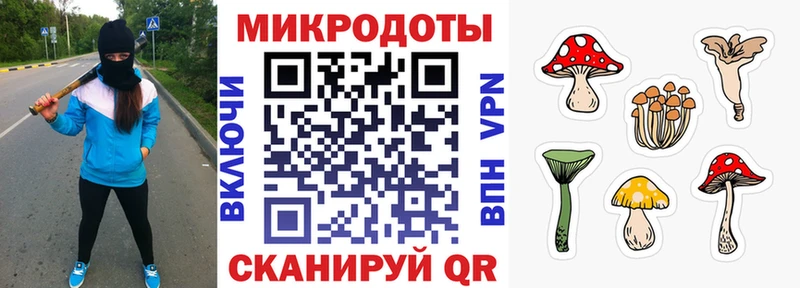Галлюциногенные грибы MAGIC MUSHROOMS  где купить наркоту  Дрезна 